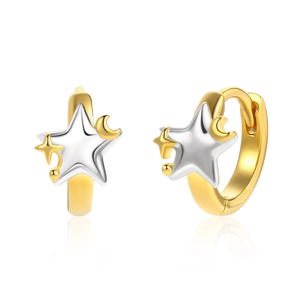 925 Sterling Silver Hoop Earring Manufacturer (1) - Zhefan Jewelry