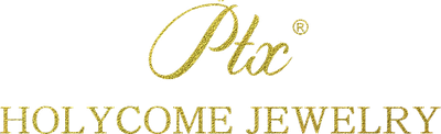 holycome_logo_no_text - HOLYCOME